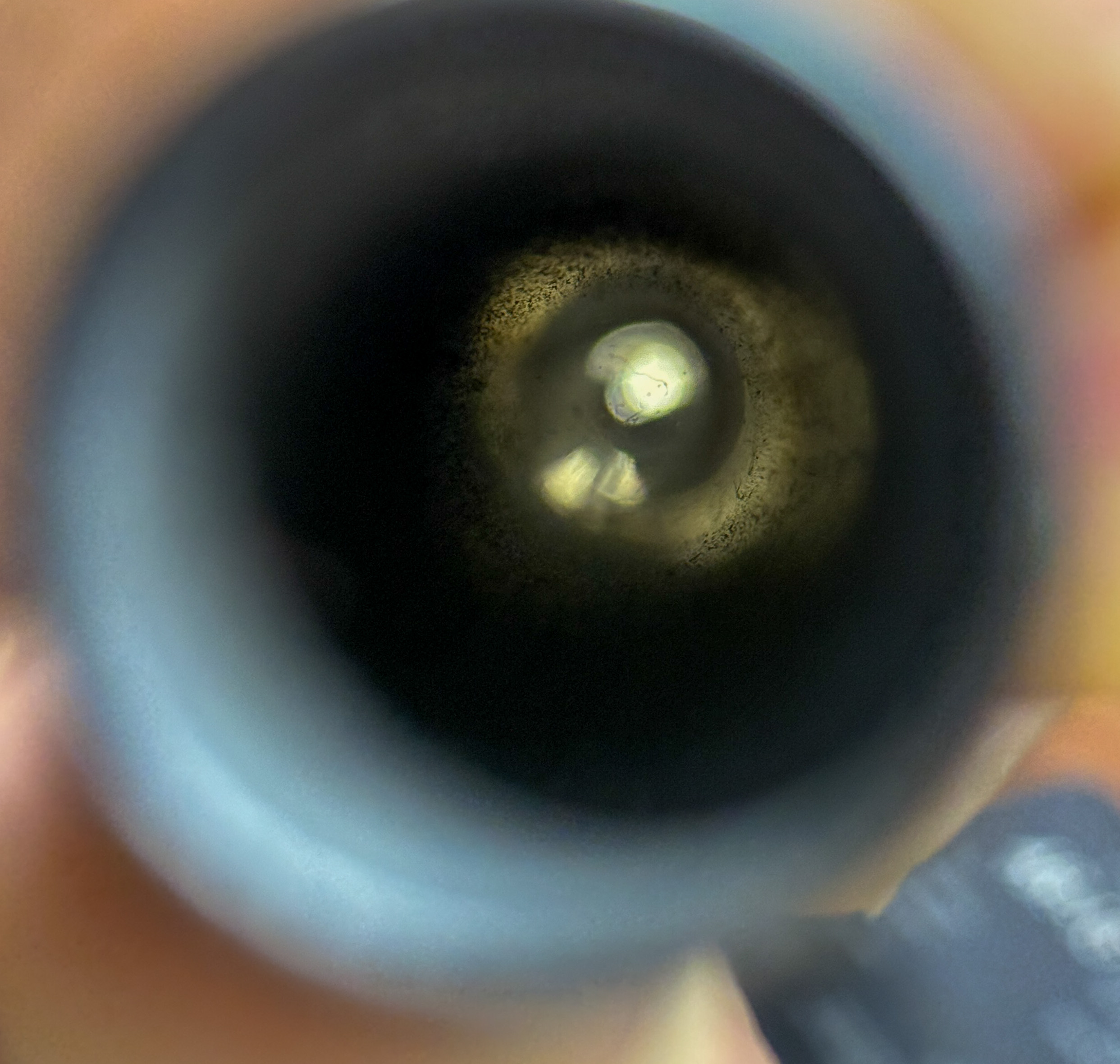 Winchester Model 12* - Image 21