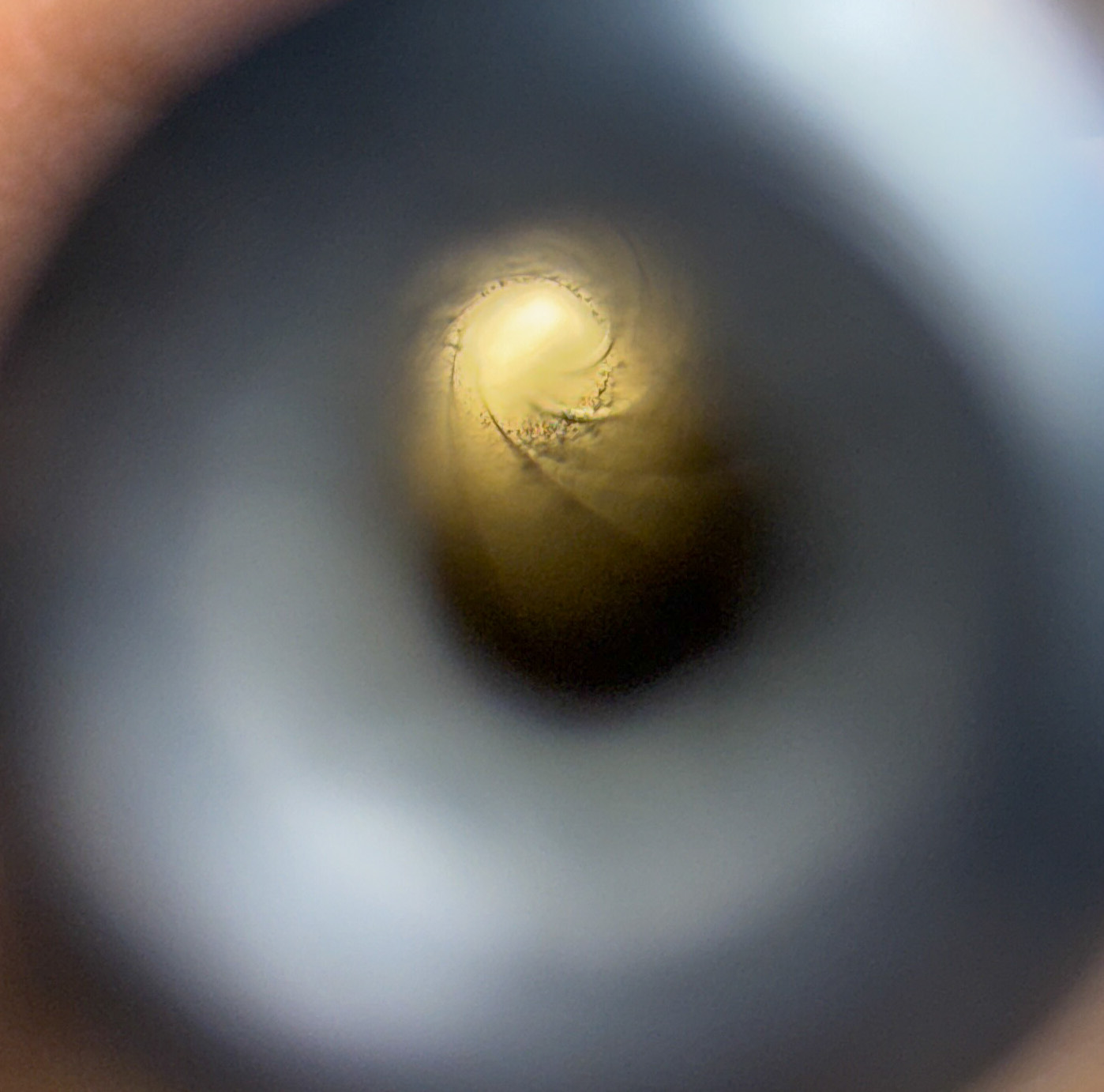 Remington Nylon 66* - Image 16
