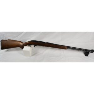 Marlin Glenfield Mod 60*